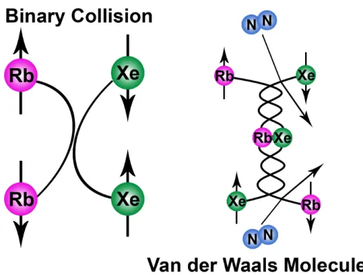 Figure 1.4: Spin exchange diagram showing the two possible means for polarization transfer between rubidium and xenon