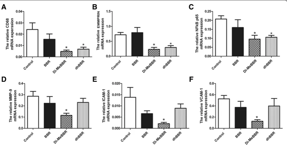 Figure 7 Effects of berberine and its derivatives on gene expression of inflammatory mediators in atherosclerotic plaques.*mice were fed with the Western diet for 16 weeks and then treated with BBR or its derivatives (dhBBR and Di-MeBBR) for 16 weeks