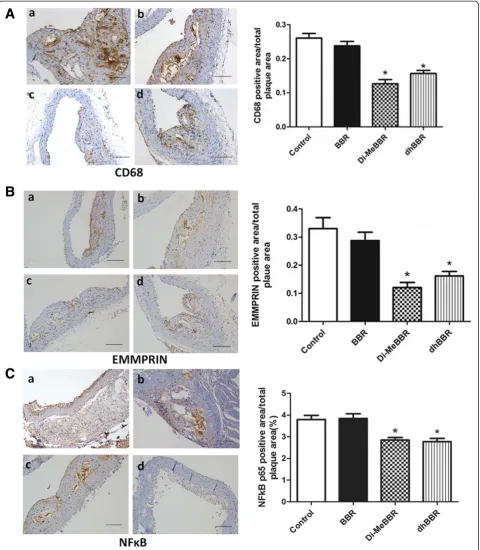 Figure 5 Effects of berberine and its derivatives on CD68, EMMPRIN, and NFκB p65 protein expression in atherosclerotic plaques.ApoE−/− mice were fed with the Western diet for 16 weeks and then treated with BBR (b) or its derivatives, Di-MeBBR (c) and dhBBR