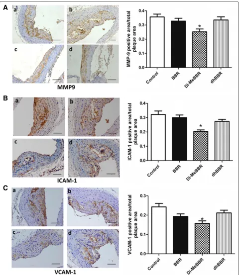 Figure 6 Effects of berberine and its derivatives on protein expression of inflammatory mediators in atherosclerotic plaques.ApoE−/− mice were fed with the Western diet for 16 weeks and then treated with BBR (b) or its derivatives, Di-MeBBR (c) and dhBBR (