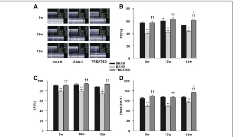 Figure 3 Effect of resveratrol on left ventricular (LV) systolic function (n = 4 ~ 7)