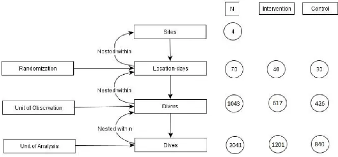 Figure 3.1: Nested structure of the data 