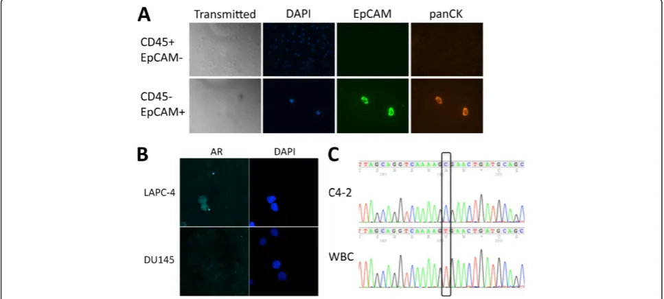 Figure 1 Isolation and evaluation of cultured prostate cancer cells. Adonors were sorted onto slide chambers for immunofluorescence (IF) using flow-cytometry techniques based on expression pattern of CD45 andEpCAM