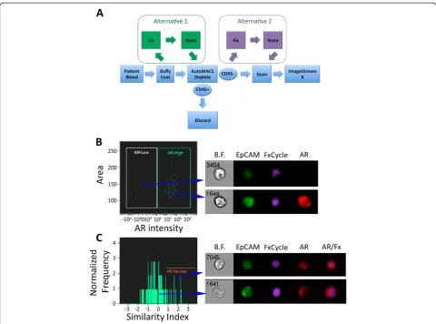 Figure 3 AR protein interrogation in CTCs from patients with metastatic castration-resistant prostate cancer using ImageStreamX