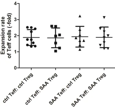 Figure 8. The concentration of IFN-γ in supernatants of the four cross-culture groups, including (control Teff: control Treg) (n=15), (control Teff: SAA Treg) (n=13), (SAA Teff: control Treg) (n=7) and (SAA Teff: SAA Treg) (n=8)