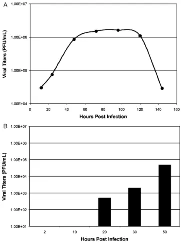 Fig. 1. Growth kinetics of icSARS-CoV in human airway epithelial cells. To determine viral growth kinetics of icSARS-CoV in HAE cultures over time, icSARS-CoV was inoculated onto the apical surface of HAE cultures and apical washes (A) and basolateral medi