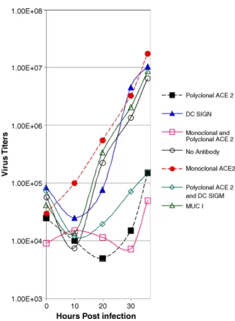 Fig. 3. hACE2 is the primary receptor for SARS-CoV entry into HAE. To assess effects of pretreatment of HAE with receptor specific antisera on the growth kinetics of SARS-CoV infection, HAE were pretreated with polyclonal or  mon-oclonal antisera directed 