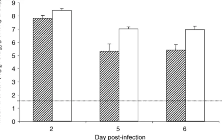 Fig. 1. Replication of SARS-CoV in lungs of aged B6 and BALB/c mice. B6 and BALB/c mice (N = 15 per strain, aged 12–14 months) were intranasally infected with SARS-CoV (10 5 TCID 50 /mouse) at day 0