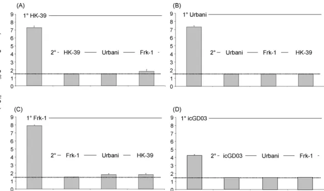 Fig. 3. Primary replication and replication after challenge of SARS-CoV in hamster lungs