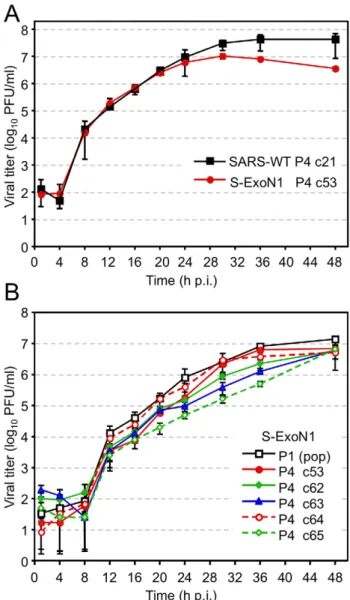Figure 3. Growth analysis of viral replication. Growth compari- compari-sons of SARS-WT and S-ExoN1 viruses (A), and of multiple S-ExoN1 clones and S-ExoN1 population virus (B)