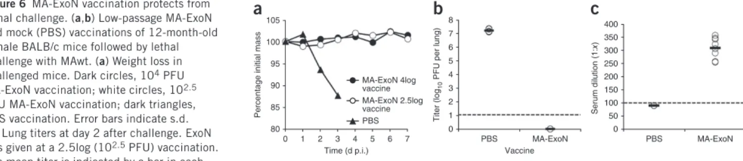 Figure 6  MA-ExoN vaccination protects from  lethal challenge. (a,b) Low-passage MA-ExoN  and mock (PBS) vaccinations of 12-month-old   female BALB/c mice followed by lethal  challenge with MAwt