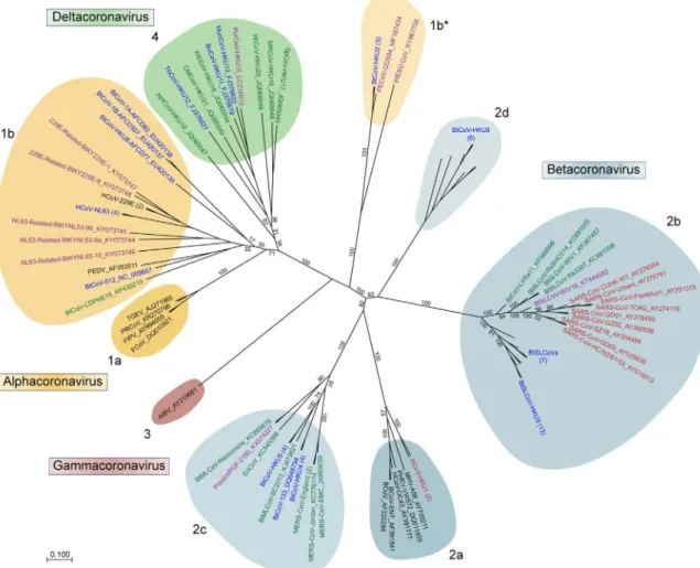 Fig. 1. The expanding phylogeny of coronaviruses. The Spike protein sequences of 83 coronaviruses were aligned and phylogenetically compared