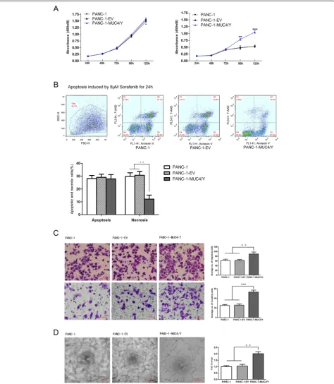 Figure 4 MUC4/Y enhances PANC-1 cell malignant activity in vitro. Data from three repeated experiments are presented as means ± SD.**P <0.01, ***P <0.001 vs