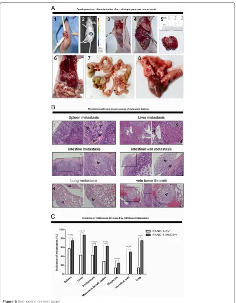 Figure 6 (See legend on next page.)