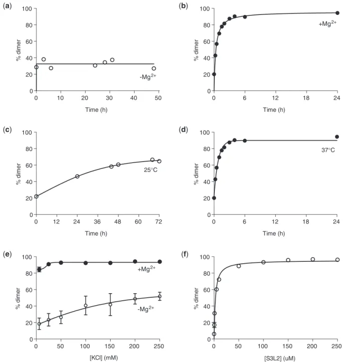 Figure 4. Evaluation of dimer-promoting conditions for SARS S3L2. Wild-type SARS S3L2 transcripts (150 mM) were incubated in 10 mM Na 2 HPO 4 , pH 6.5, 0.5 mM EDTA, 100 mM KCl and 5 mM MgCl 2 for 6 h at 37  C, unless otherwise stated