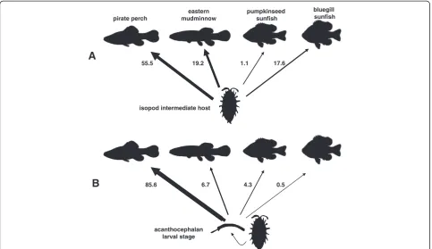 Figure 7 A. Hernandez and Sukhdeo 2008 [19] measured the proportion (%) of isopod intermediate hosts in the diets of four differenthosts as determined from stomach content analysis
