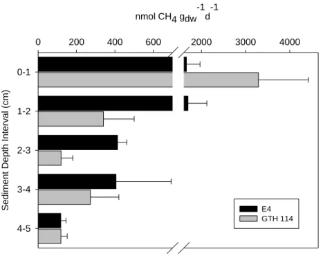 Figure 2.3. Depth distribution of unamended rates of methanogenesis in E4 and GTH 114