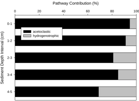 Figure 2.7. Depth distribution of the relative proportion of acetoclastic and hydrogenotrophic  pathways in in E4 in 2008
