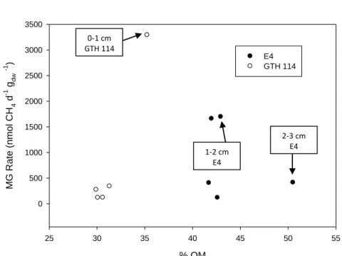 Figure 2.11. Scatterplot of unamended rates of methanogenesis (MG) versus organic matter    (OM) content at a corresponding depth interval in E4 and GTH 114 in 2008