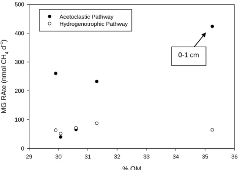 Figure 2.13. Scatterplot of the rates of methanogenesis (MG) from the acetoclastic or 