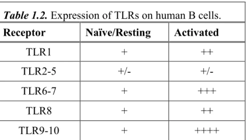 Table 1.2. Expression of TLRs on human B cells. 