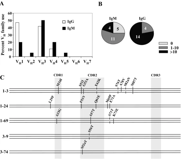 Figure 2.4. CD19 hi  B cells are somatically mutated and antigen selected. 