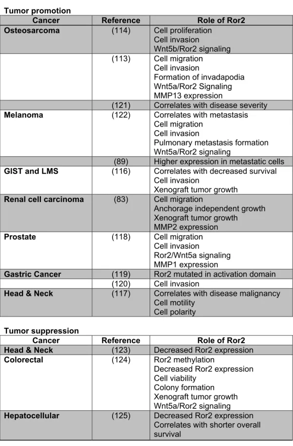 Table 1.2: Summary of the role of Ror2 in various cancers  Tumor promotion 