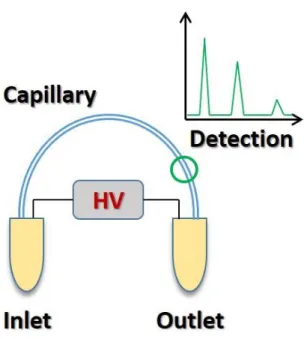 Figure 1.1: Schematic of a basic capillary electrophoresis experimental set-up. An inlet and  outlet reservoir are required that are connected by a capillary and a high voltage power supply  (HV)