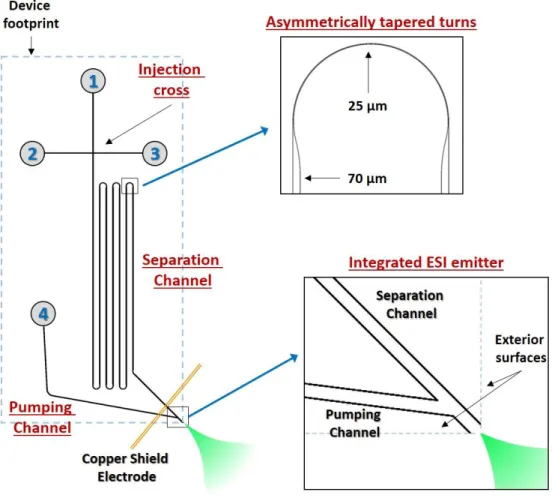Figure 1.3: Diagram of the microfluidic CE device with integrated ESI. The insets show enlarged  views of the turn tapering in the separation channel and the channel junctions that form the  integrated ESI emitter