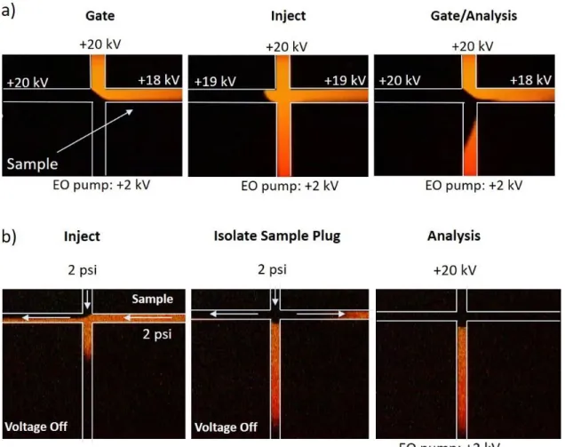 Figure 1.5: Injections schemes used in the Ramsey lab for microfluidic CE-MS analysis