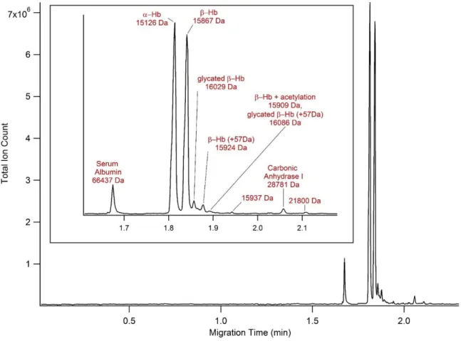 Figure 2.1 Microfluidic CE-MS separation of whole blood lysate from a patient with a 5.6% 