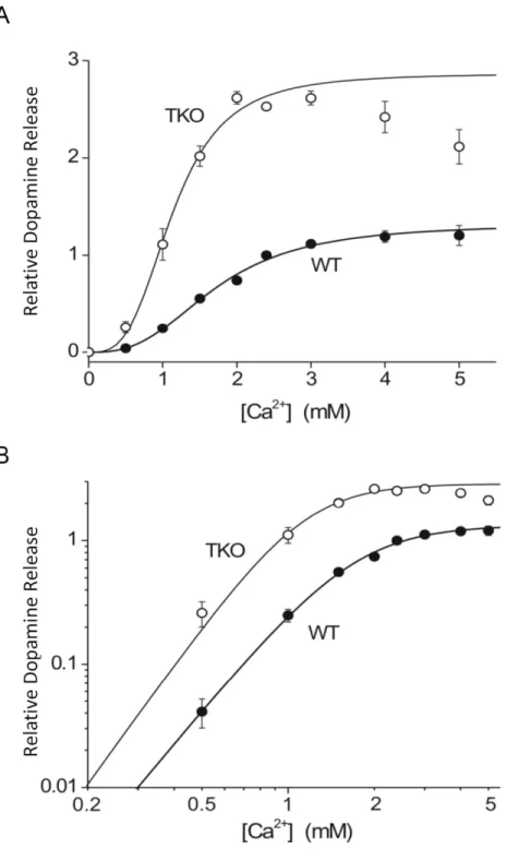 Figure 3.4  Calcium dependence of dopamine release in striatal slices.  A)  Relative [DA] max