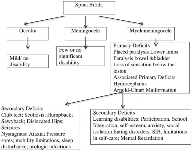 Figure 1. Disabilities associated with Spina bifida (Adopted and modified from Singh, D