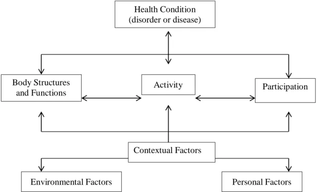 Figure 2. Interactions between the components of the ICF-CY Model 