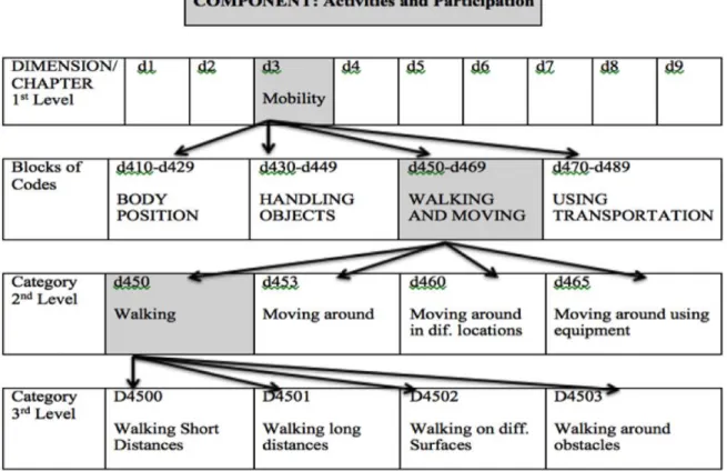 Figure 4. Activities and Participation Components 