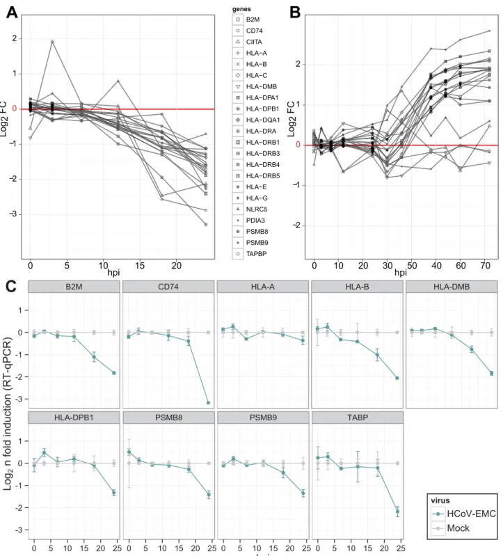 FIG 4 The antigen presentation pathway is specifically down-regulated after infection with HCoV-EMC