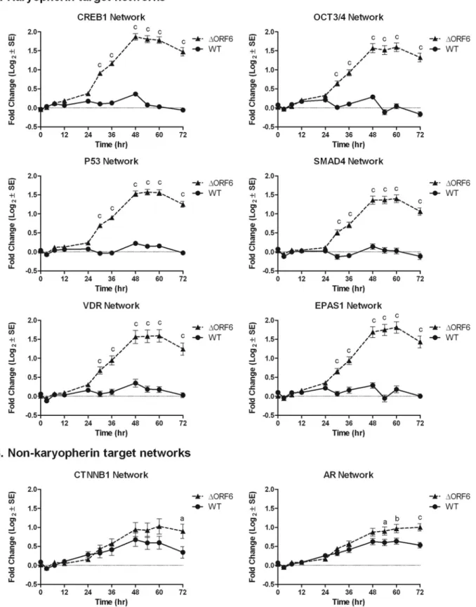 FIG 4 Differential gene expression quantitation for transcription factor networks. Average gene expression for icSARS-⌬ORF6 (dotted lines) and icSARS-CoV (solid lines) for target gene nodes (mRNA microarray values for genes regulated by transcription facto