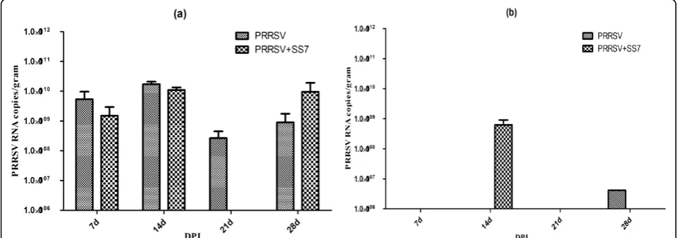 Table 4 Distribution of Streptococcus suis serotype 7 in 9 organs at different times after inoculation