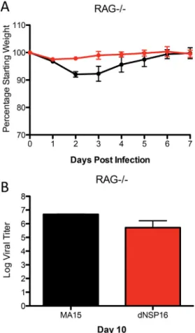 Fig. 4. IFIT proteins, not MDA5, provide effector function against NSP16 mutant viruses