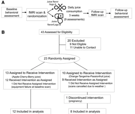 FIGURE 1 Individual participant study timeline (A) and flow of all samples through the intervention (B).