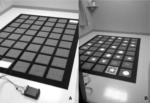 FIGURE 2 Electric Maze Task. Basic set-up, including 6 3 8 mat, the control box, and marked starting and ending squares (A)