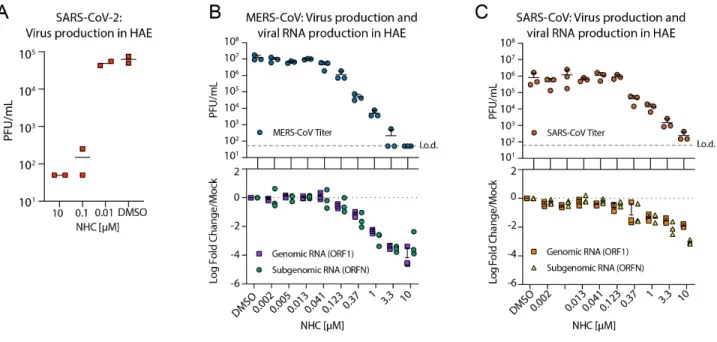 Fig. 2. NHC is highly active against SARS-CoV-2, MERS-CoV, and SARS-CoV in primary human  airway epithelial cell cultures