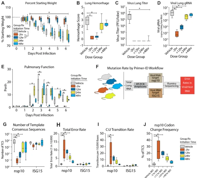 Fig. 7. Prophylactic and therapeutic EIDD-2801 reduces MERS-CoV replication and pathogenesis coincident  with increased viral mutation rates