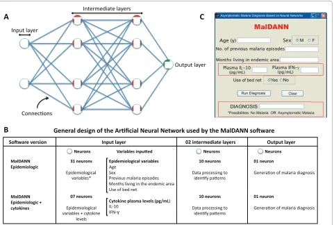 Figure 1 General design of the Artificial Neural Network used by the MalDANN softwareware was based on the Multilayer Perceptron, which consists of: (i) one input layer, where the standards and data are presented to the neural network; (ii) intermediate (o