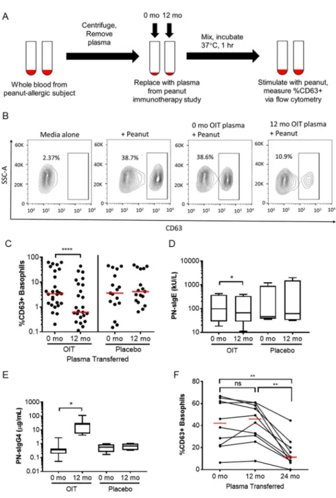 Figure 2-1.  Basophil activation following pre- and post-immunotherapy plasma transfer