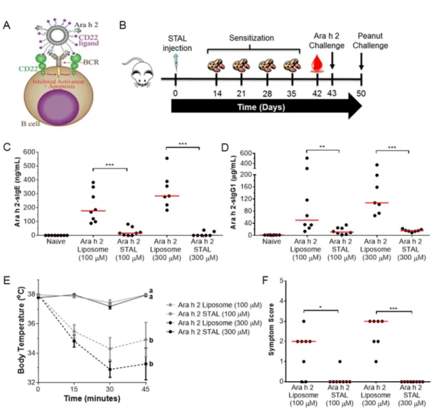 Figure 3-1. Ara h 2-specific immune responses are prevented in mice administered Ara h  2 STALs