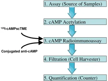 Figure 2.6. Schematic flowchart of the described method.  