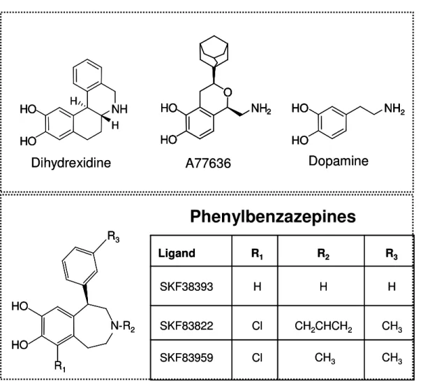 Figure 3.1: Structures of the phenylbenzazepine SKF83959 and other ligands used in this study