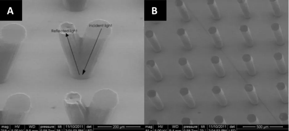 Figure 2.3 Effect of the anti-reflection chrome layer on a silicon wafer after UV exposure