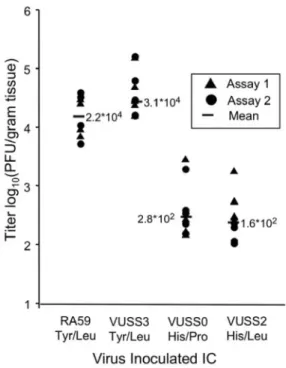 TABLE 3. Amino acid sequences of virus plaque isolates from mouse brains infected with RA59, VUSS3, VUSS0, and VUSS2 a Strain and
